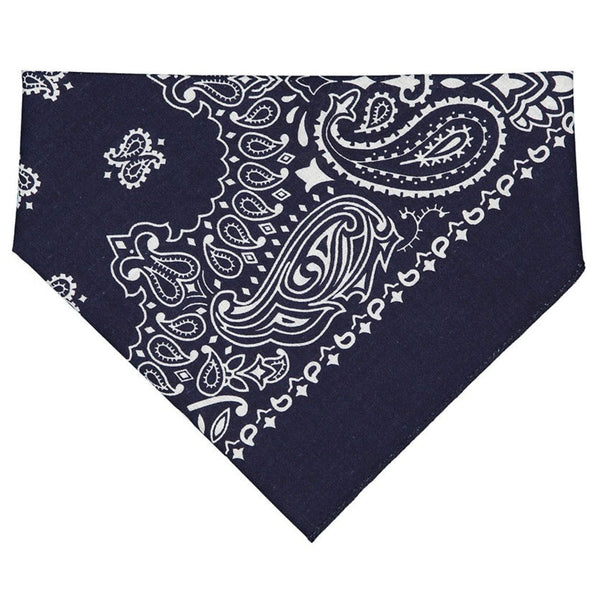 Blue doggie bandana