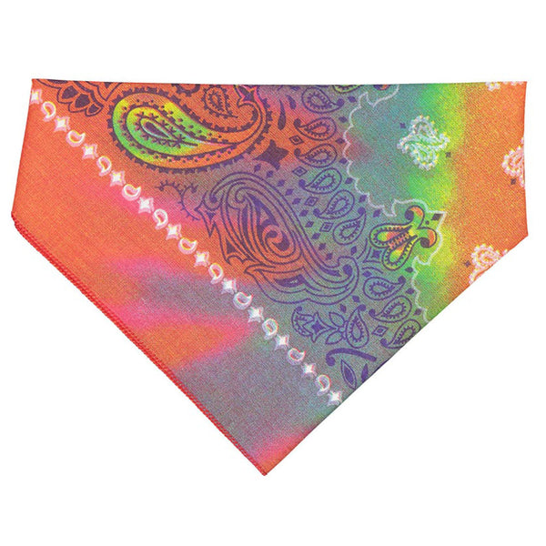 Tye dye doggie bandana