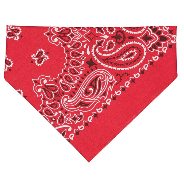 Western doggie bandana